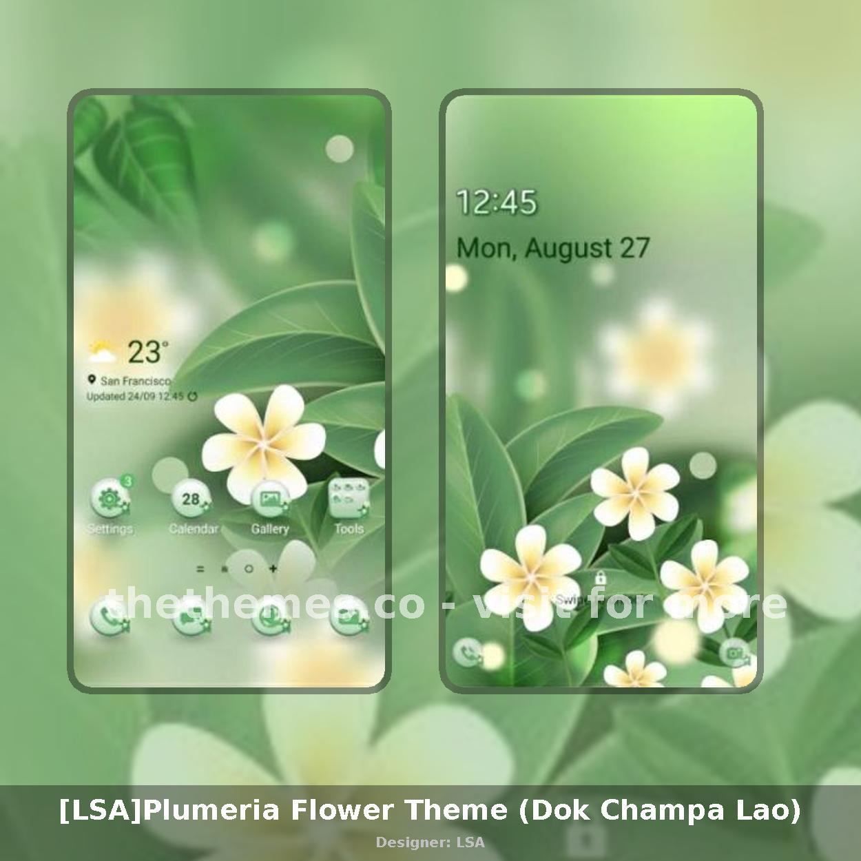 [LSA]Plumeria Flower Theme (Dok Champa Lao)