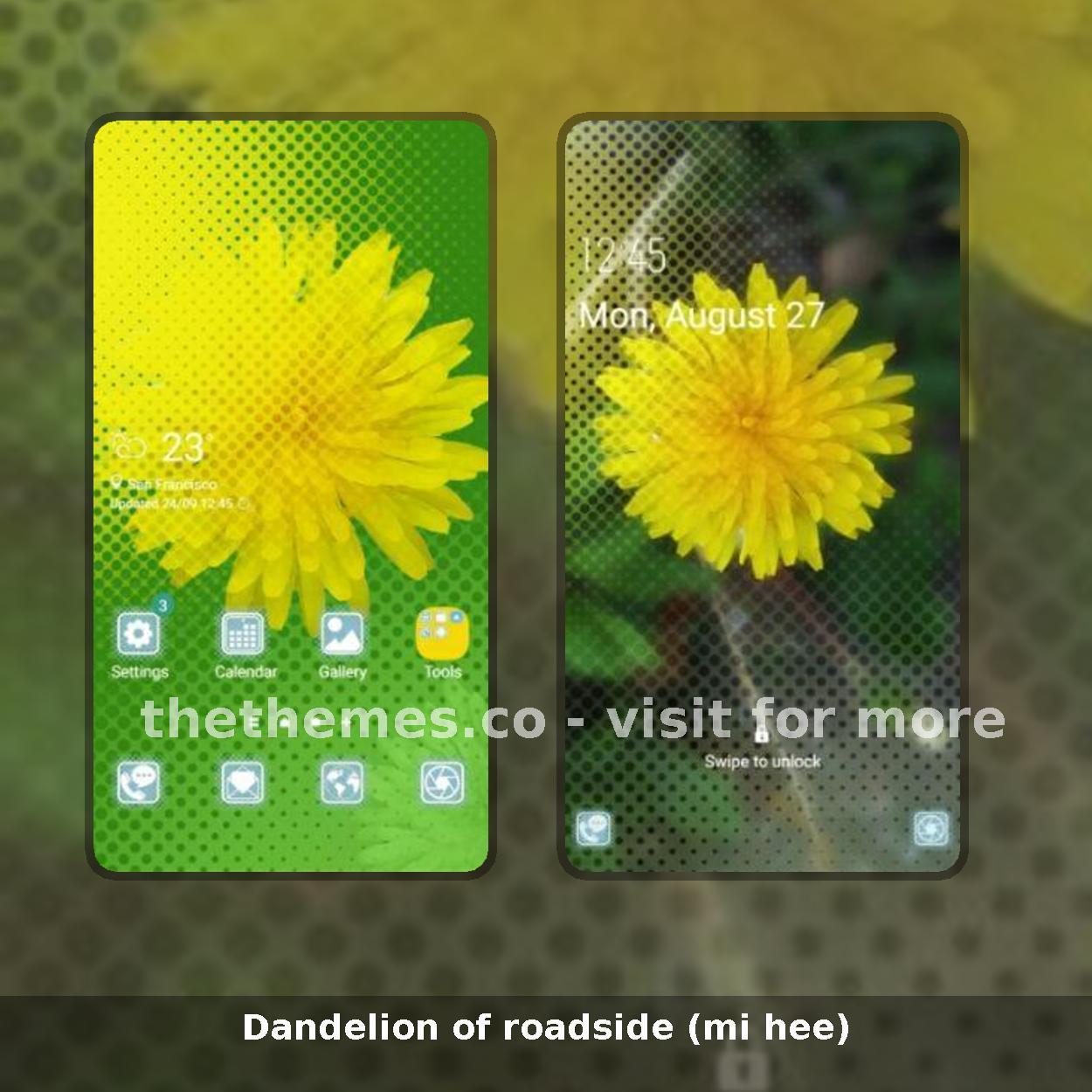 Dandelion of roadside (mi hee)
