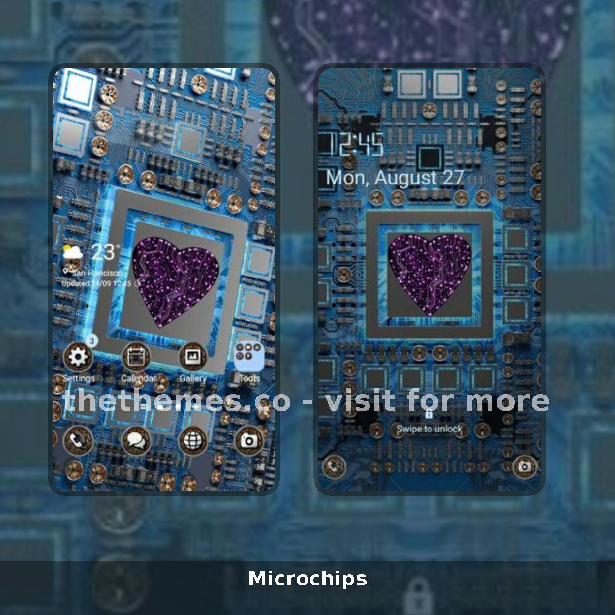 Microchips