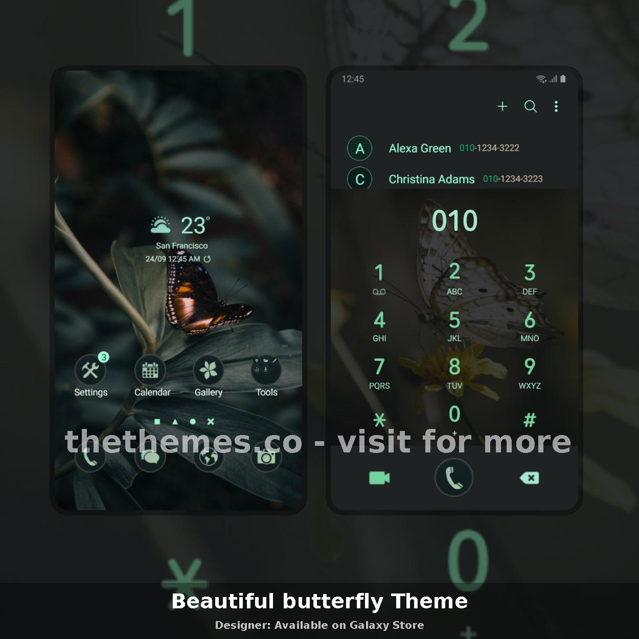 Beautiful butterfly Theme