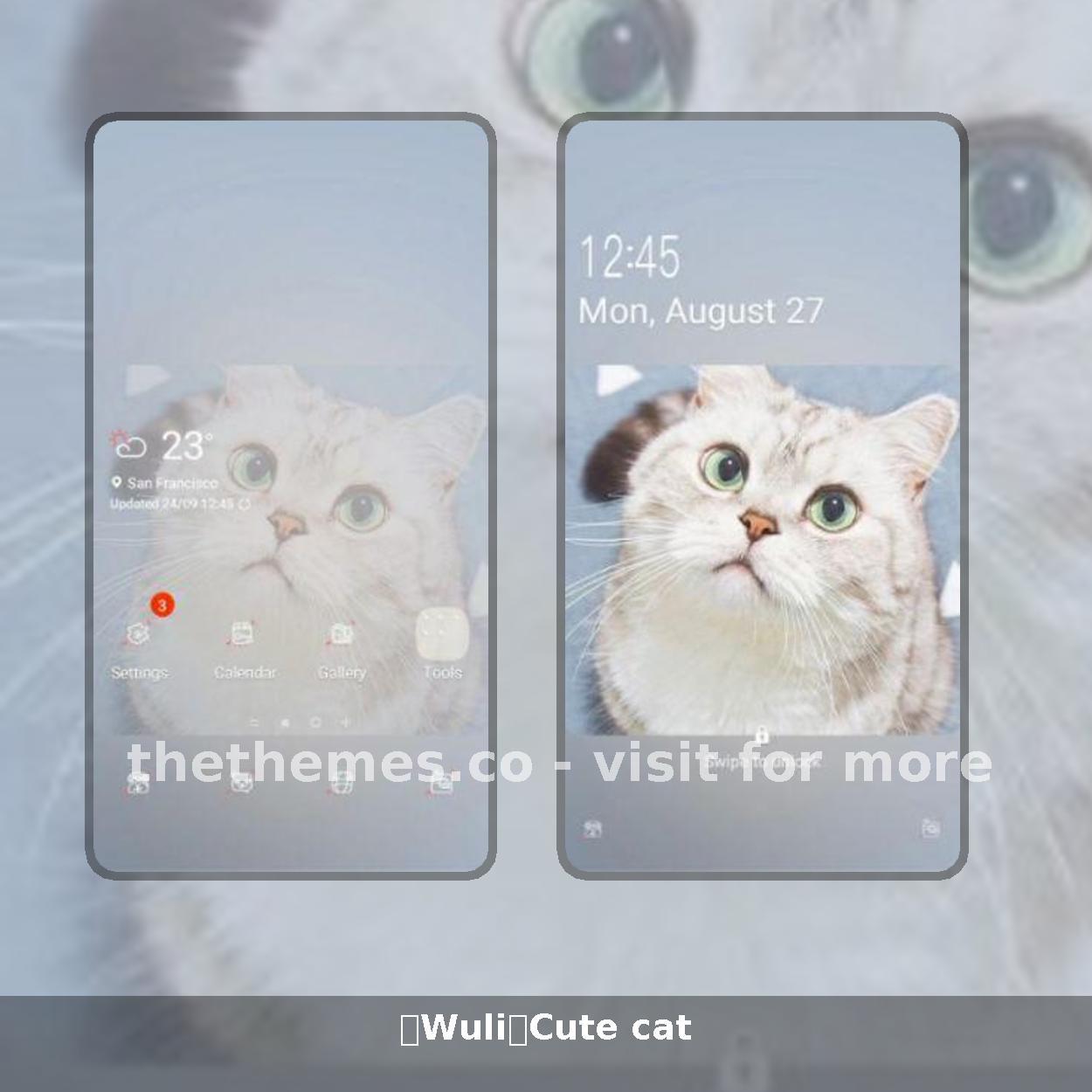 【Wuli】Cute cat
