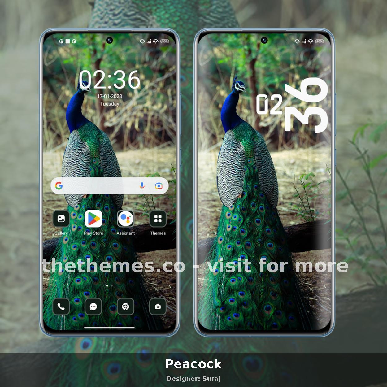 Peacock