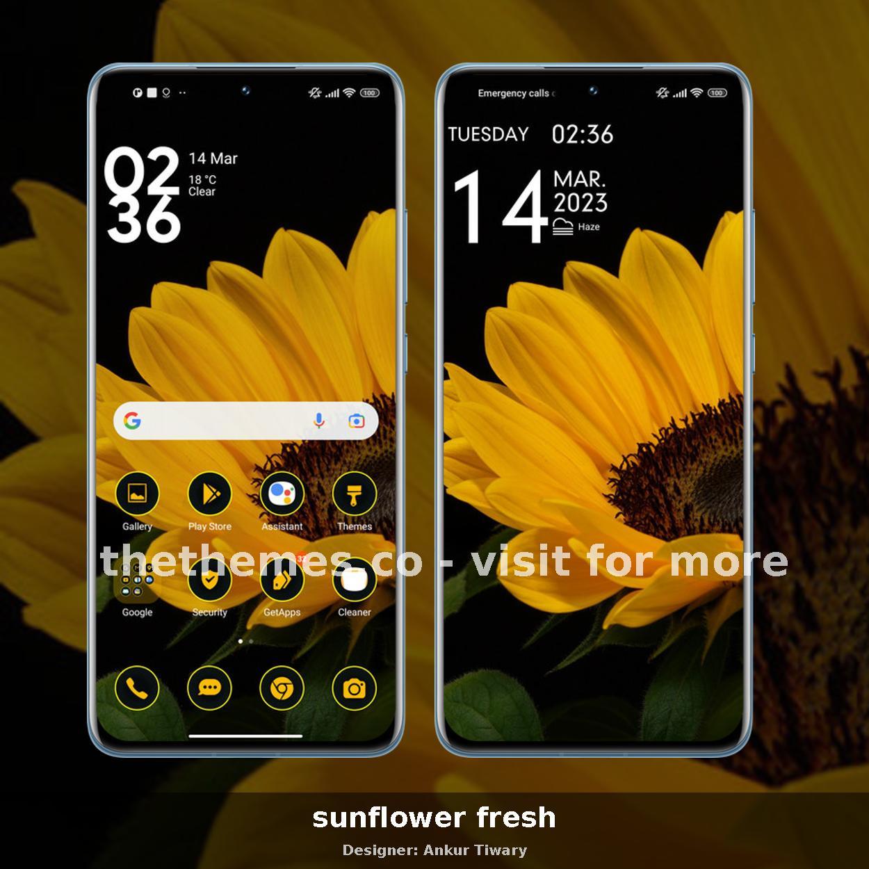 sunflower fresh