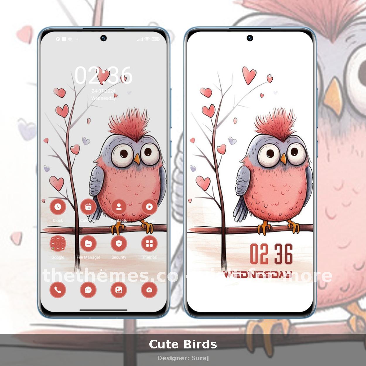 Cute Birds