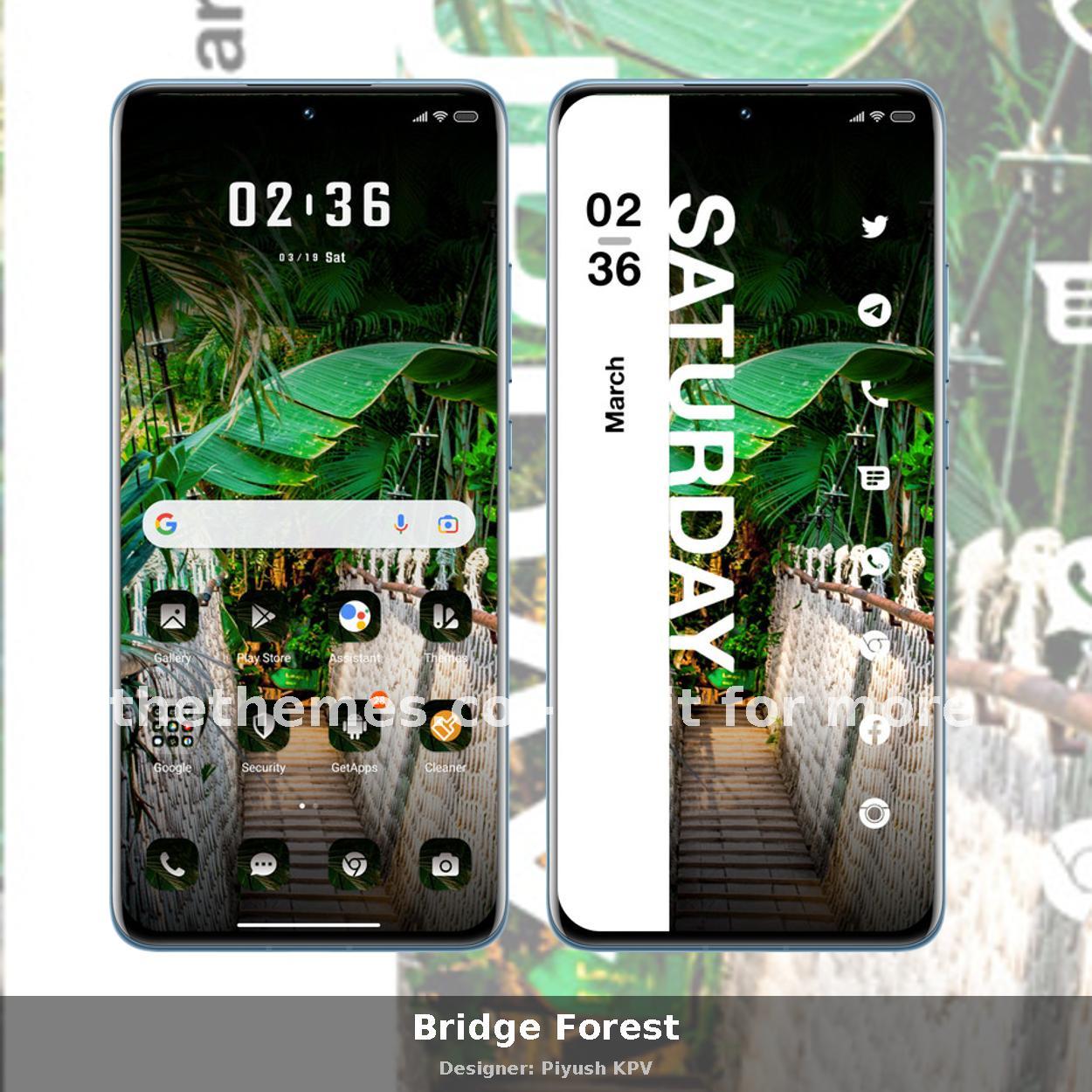 Bridge Forest