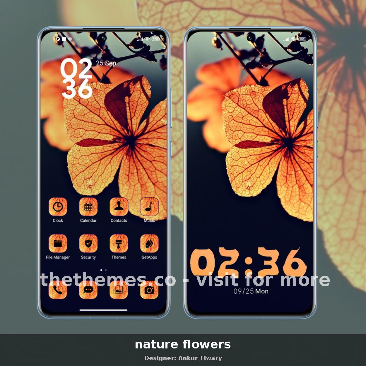 nature flowers