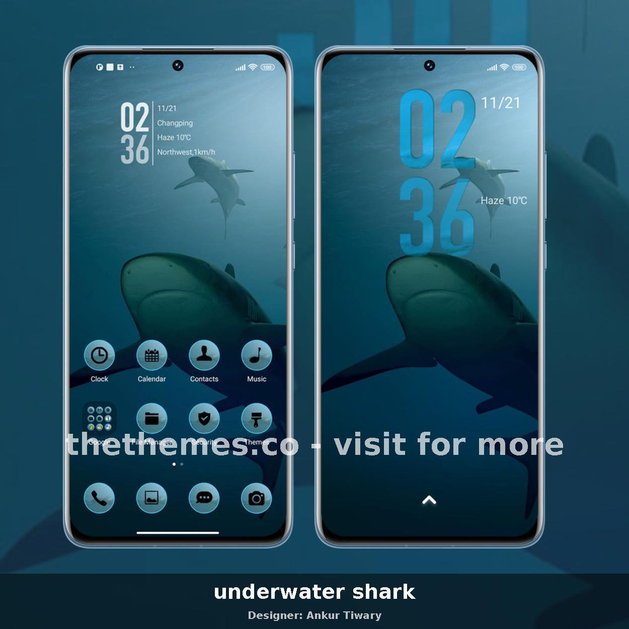 underwater shark