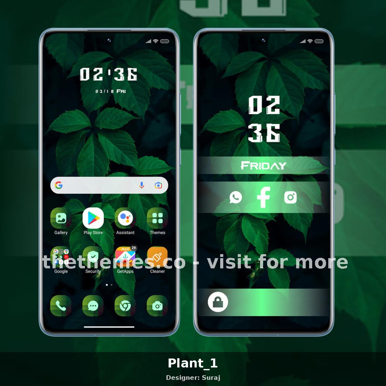Plant_1