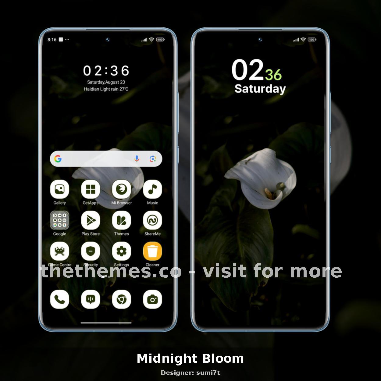 Midnight Bloom
