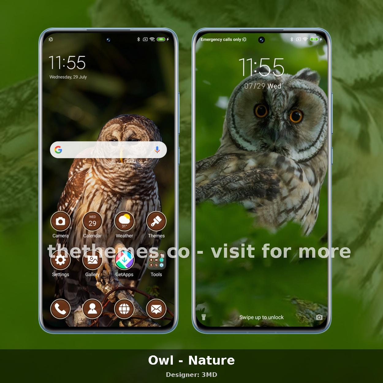 Owl - Nature