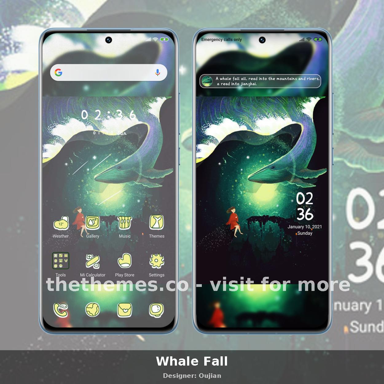 Whale Fall