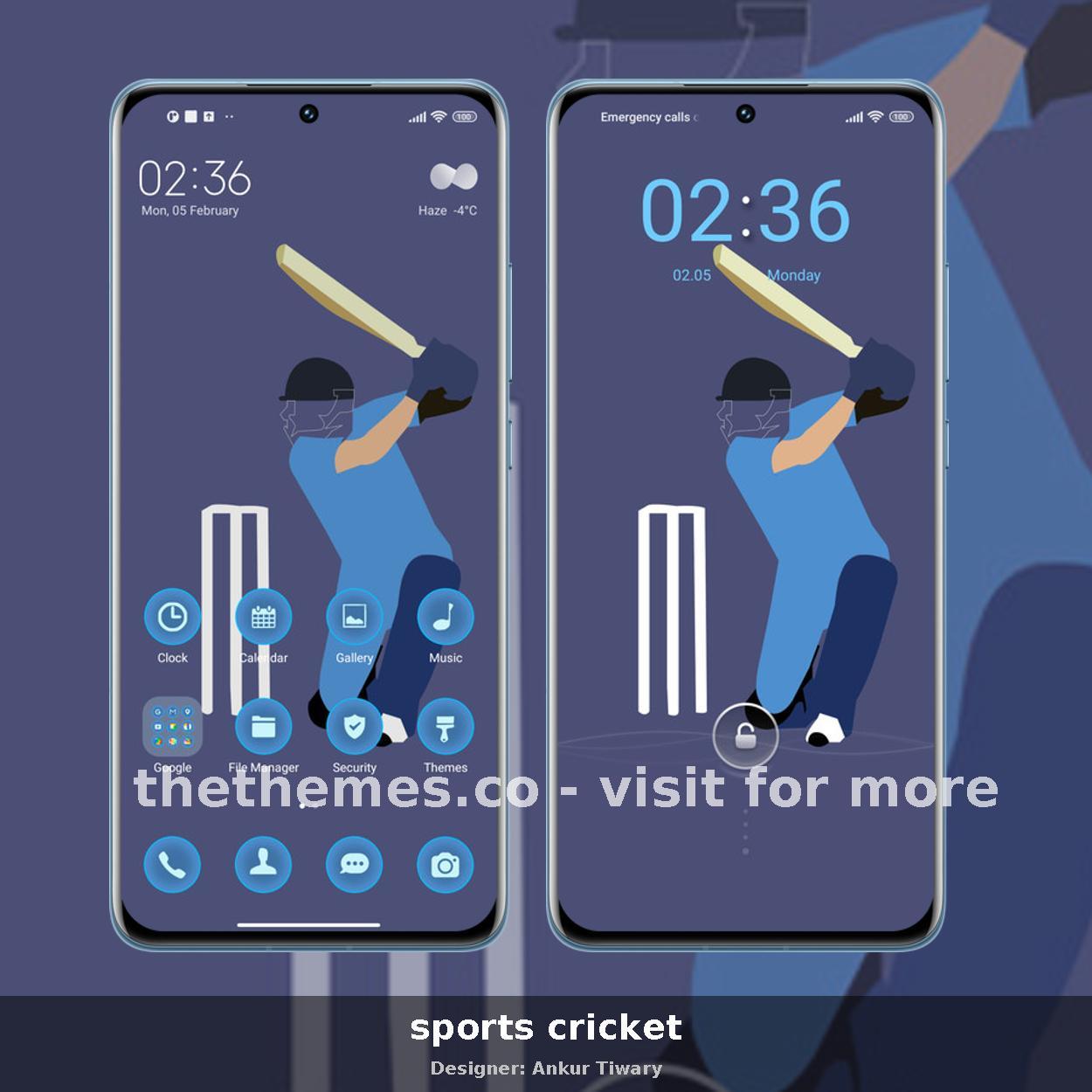 sports cricket