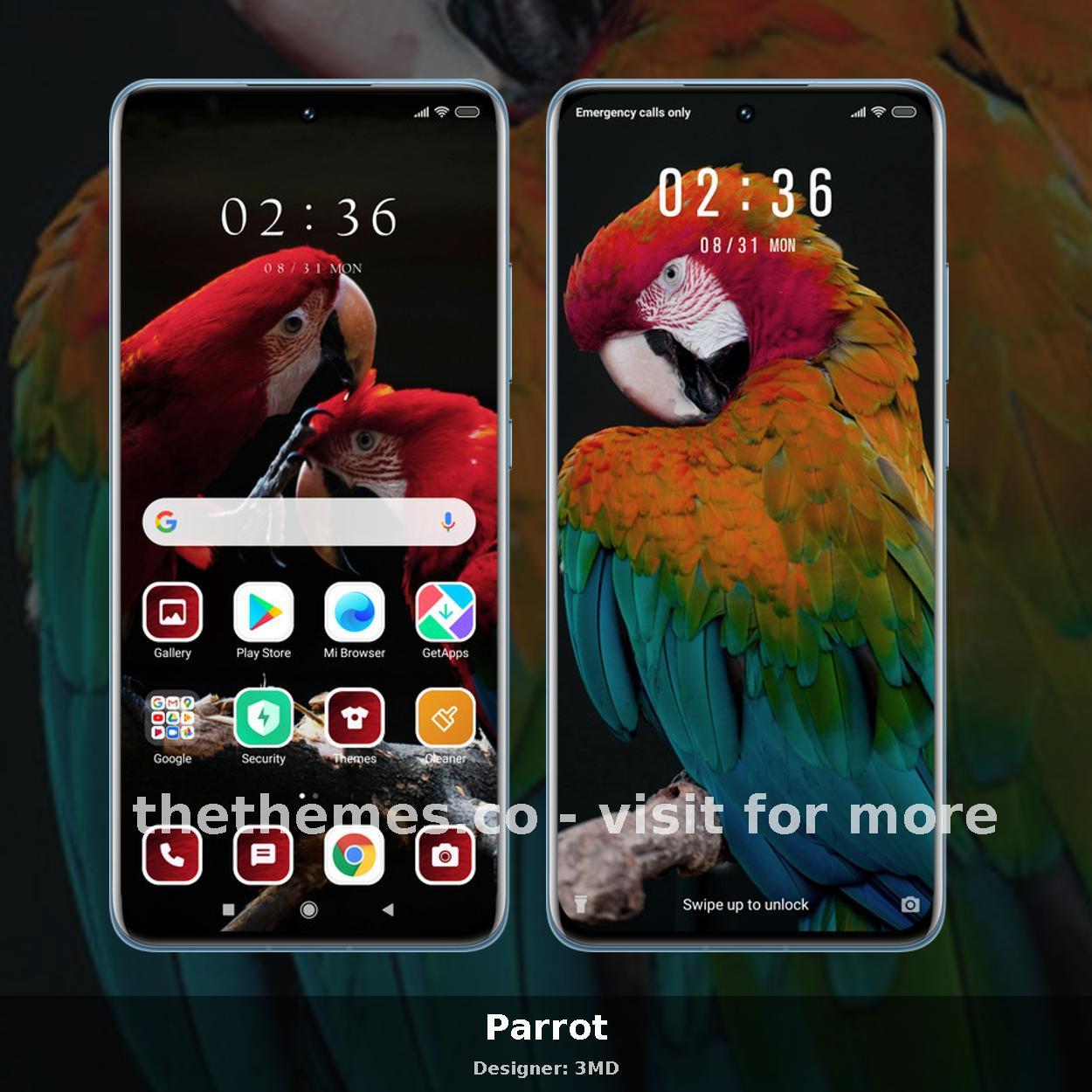 Parrot