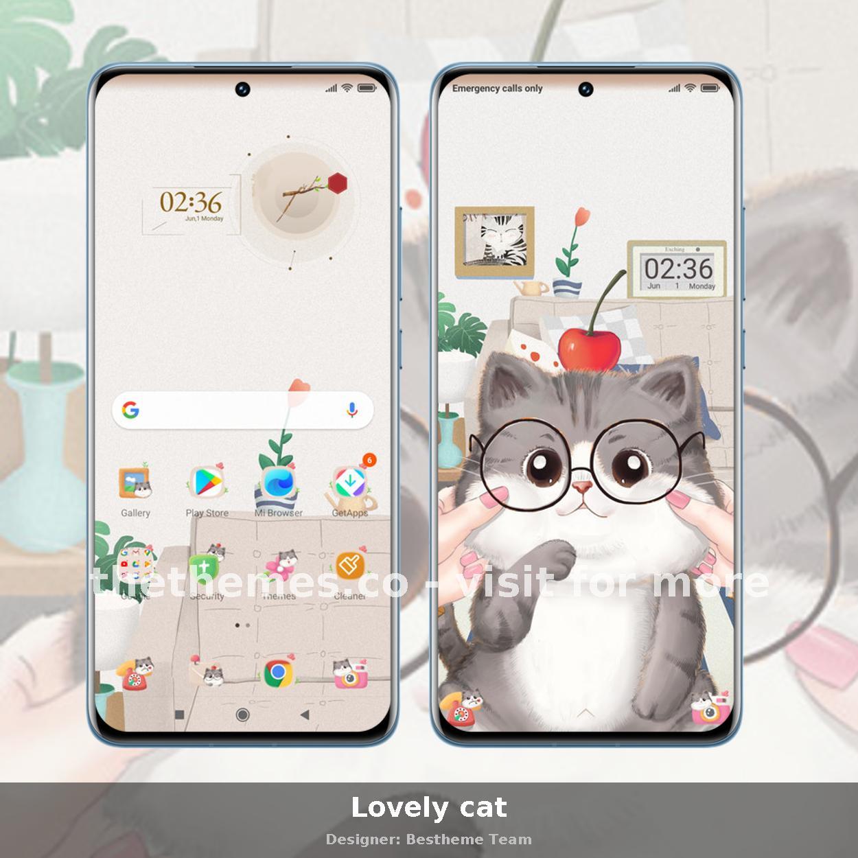 Lovely cat
