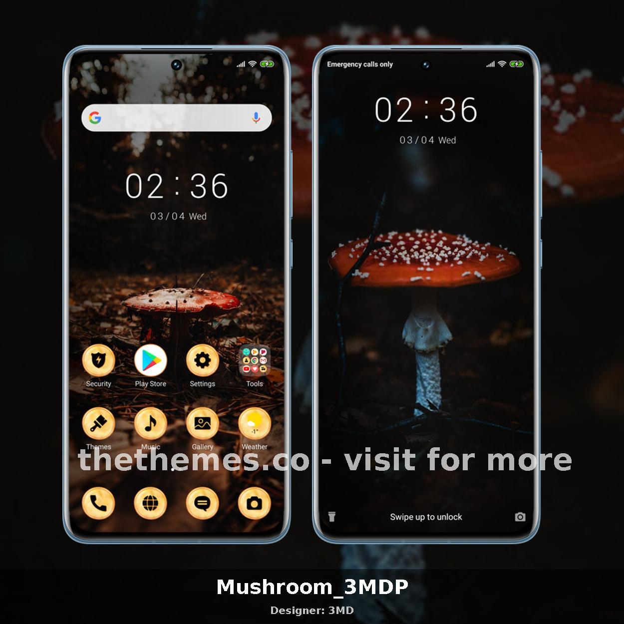 Mushroom_3MDP