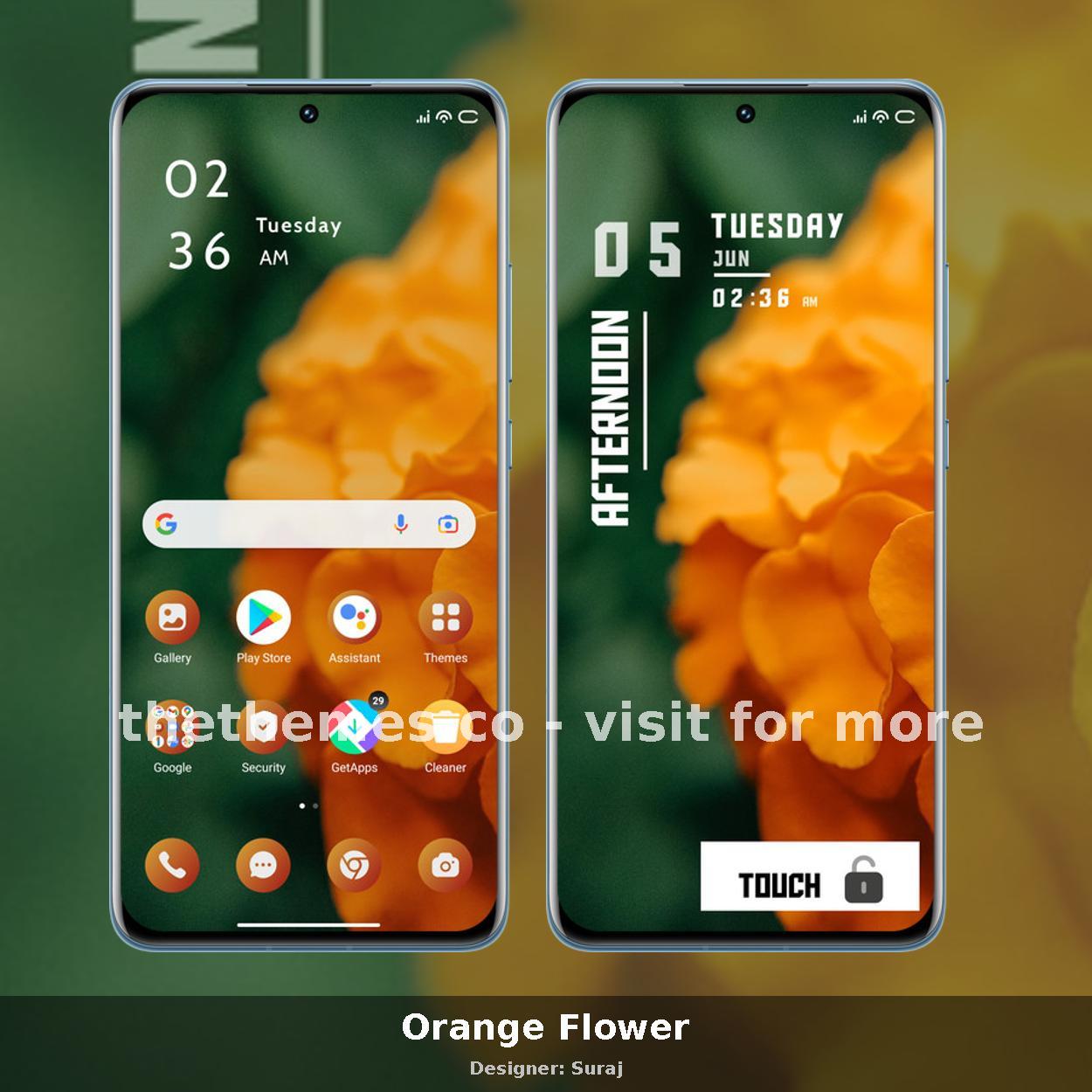Orange Flower