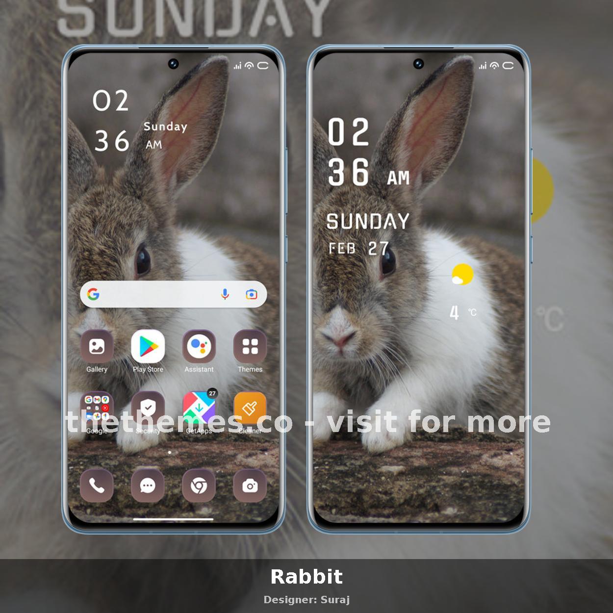 Rabbit