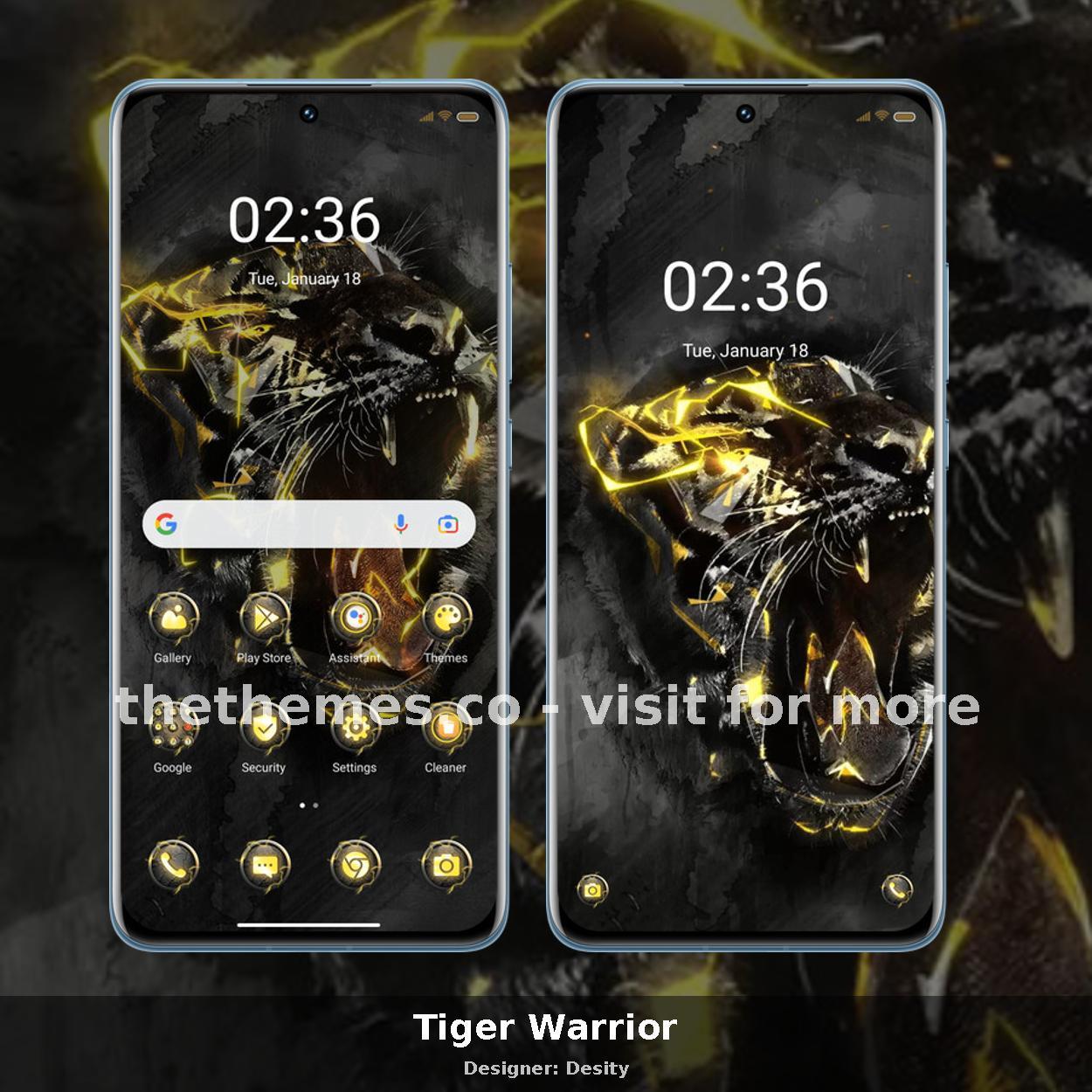 Tiger Warrior