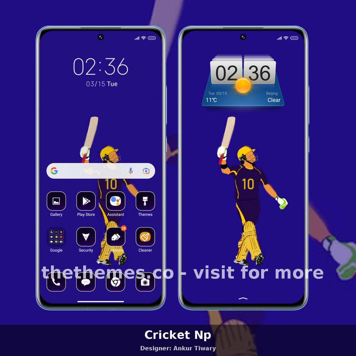 Cricket Np
