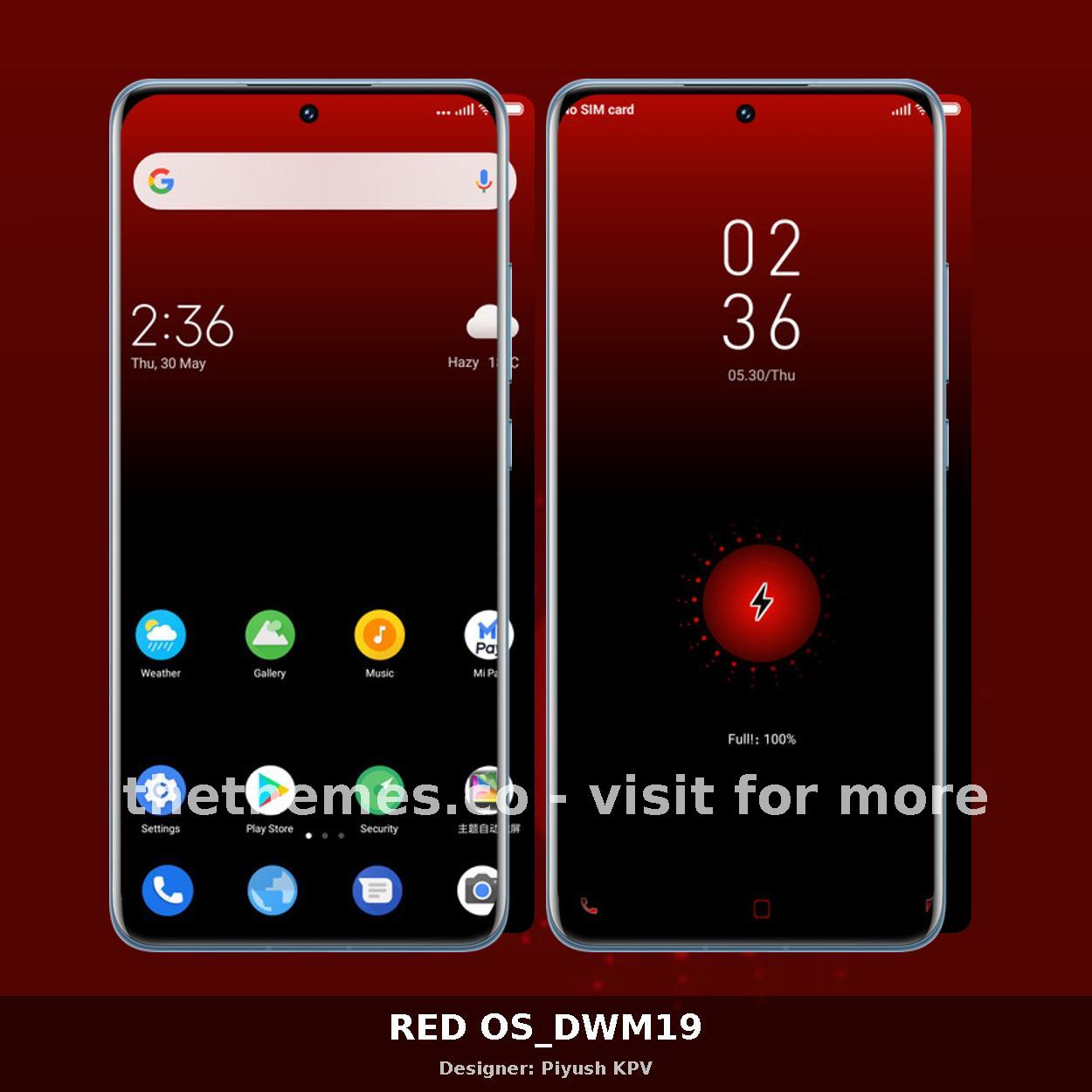 RED OS_DWM19