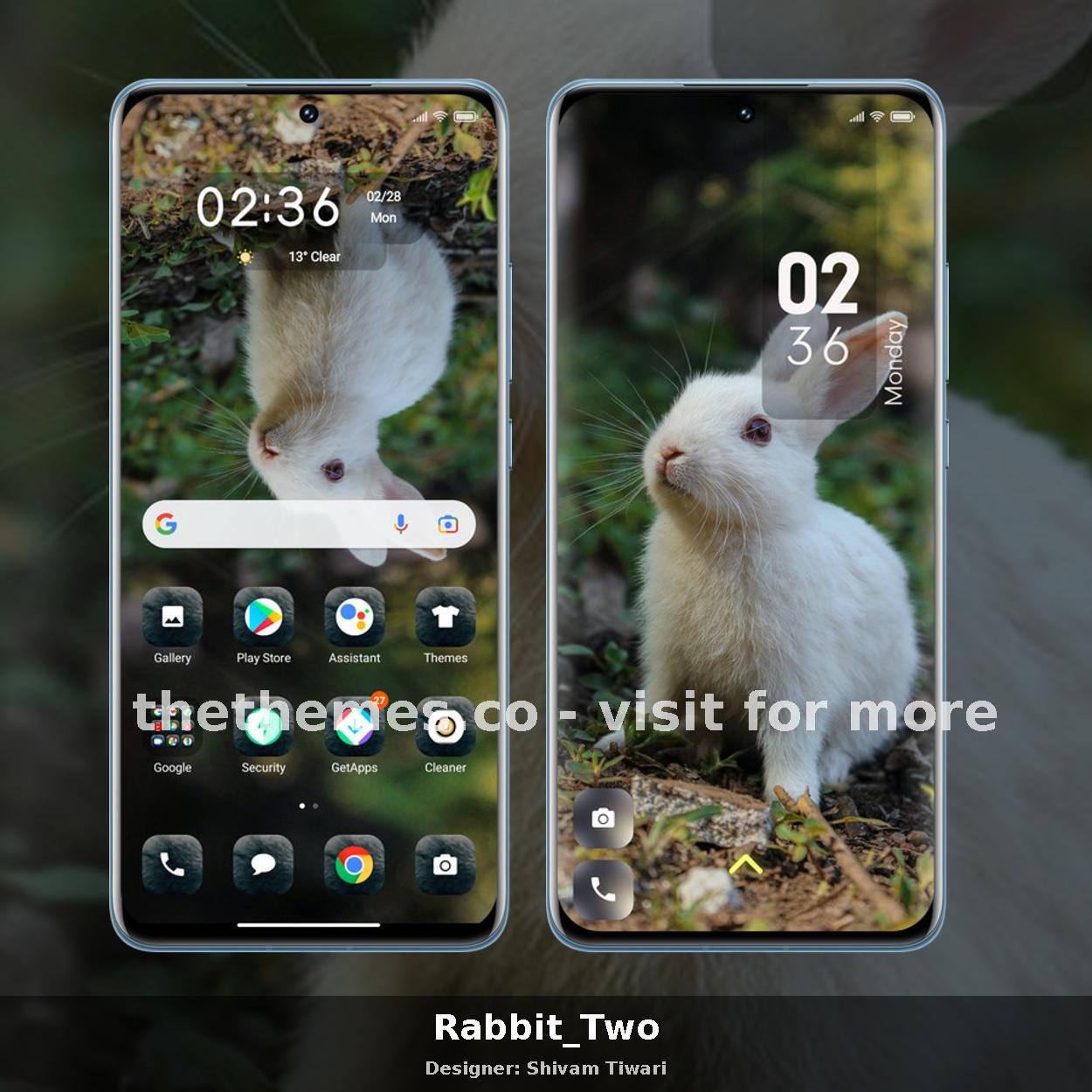 Rabbit_Two