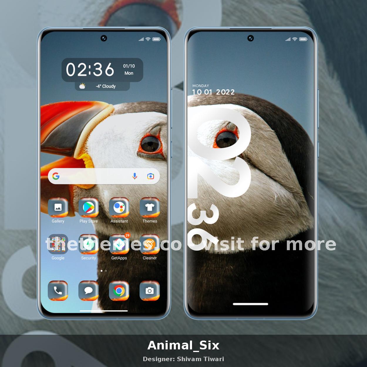 Animal_Six