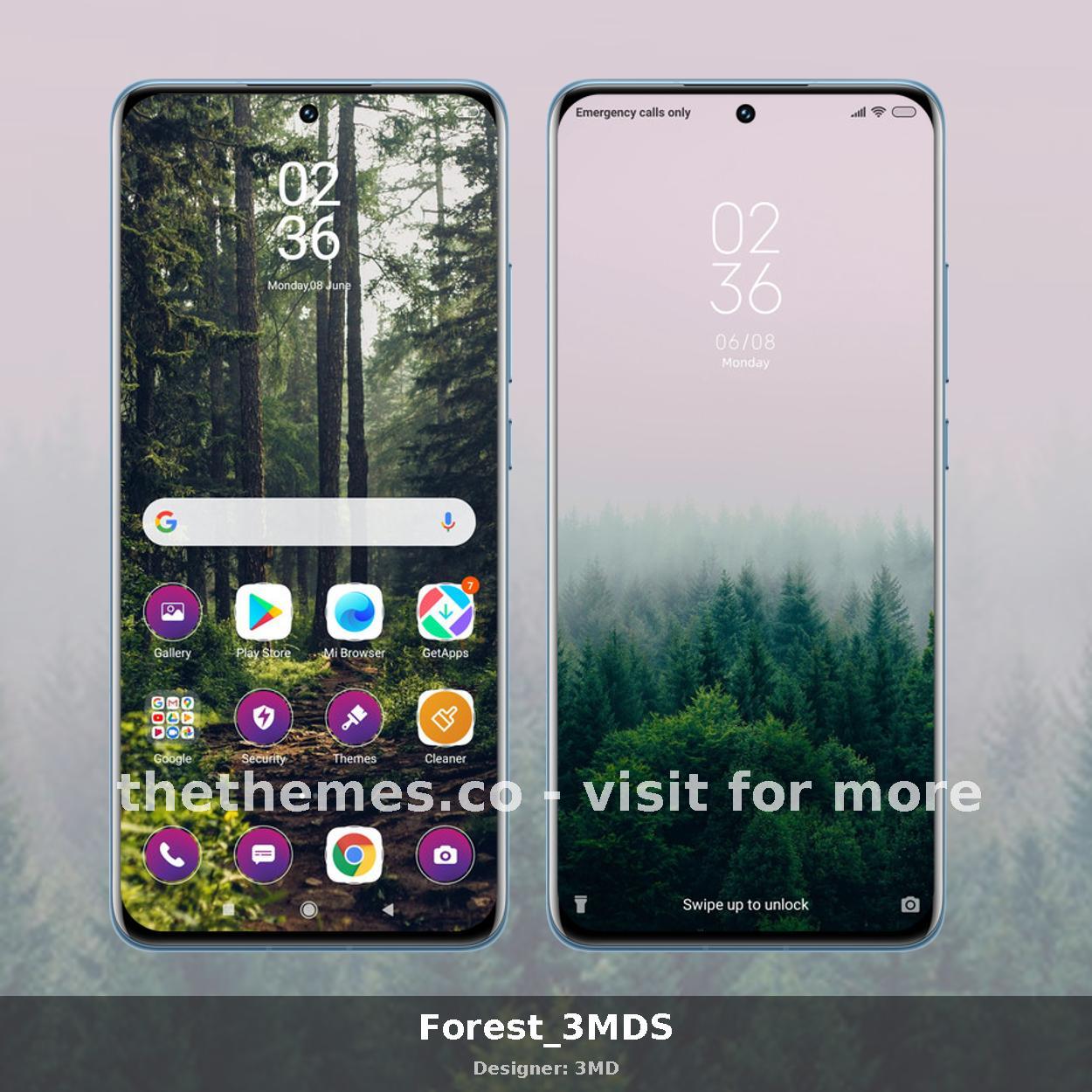 Forest_3MDS