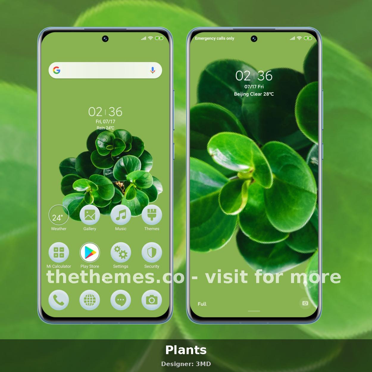 Plants