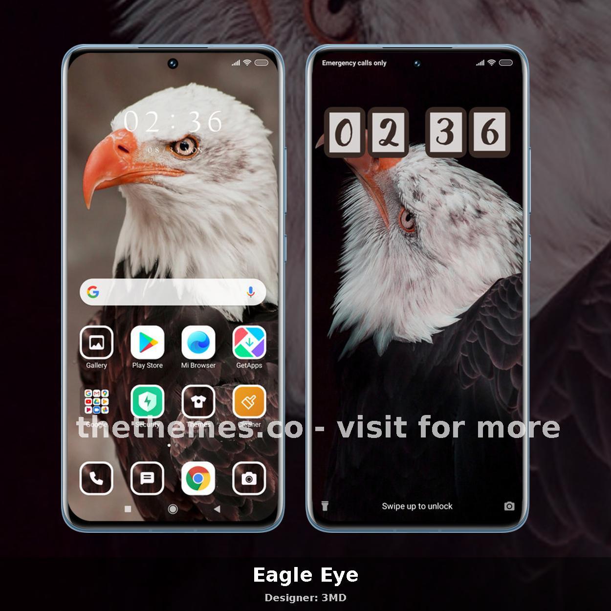 Eagle Eye