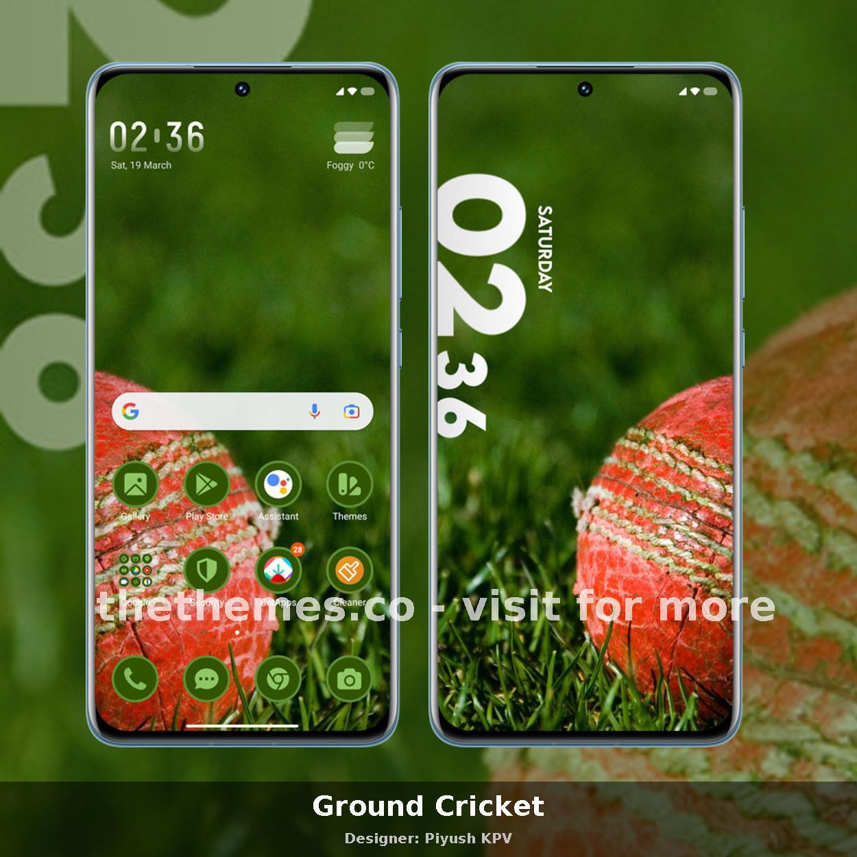 Ground Cricket