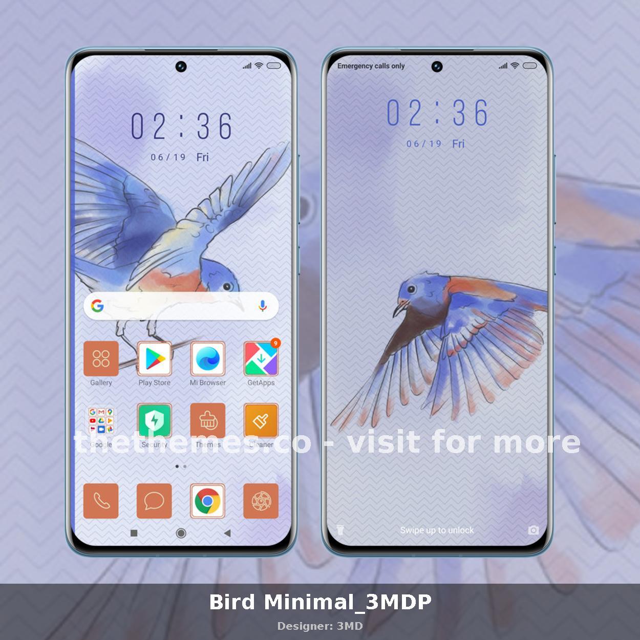 Bird Minimal_3MDP