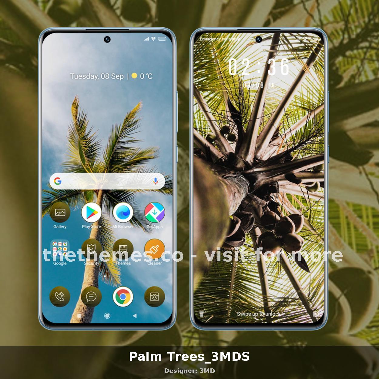 Palm Trees_3MDS