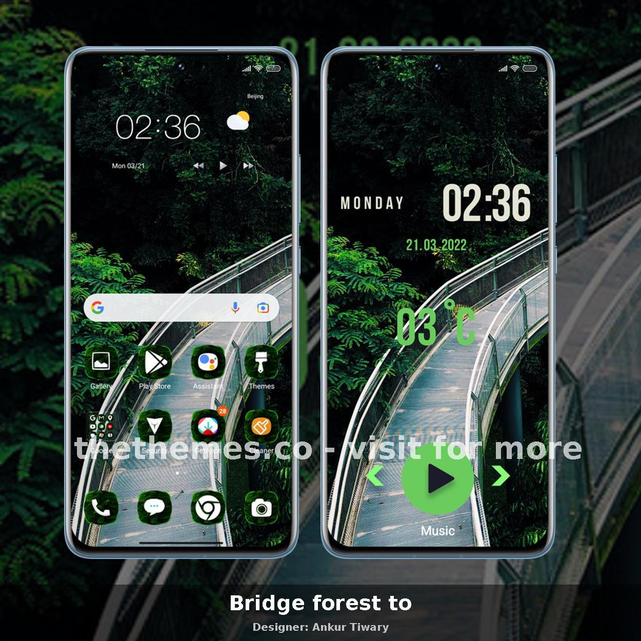 Bridge forest to