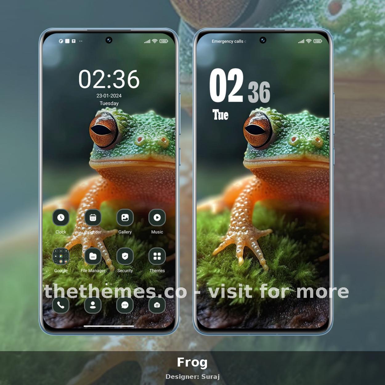 Frog