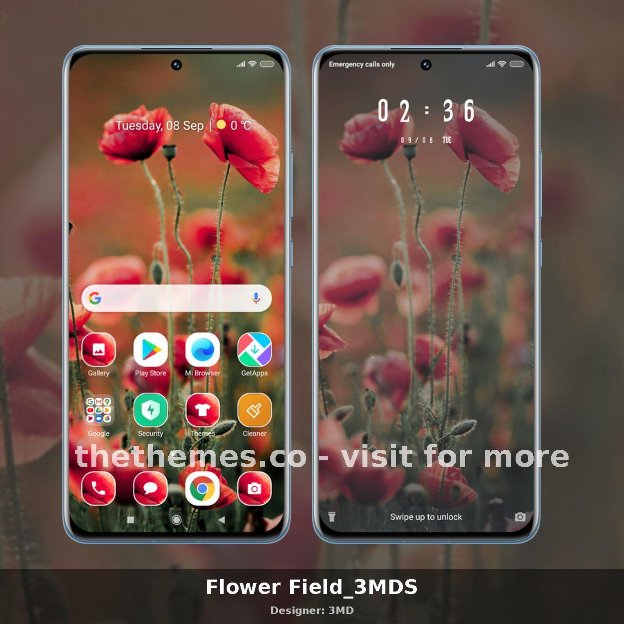 Flower Field_3MDS