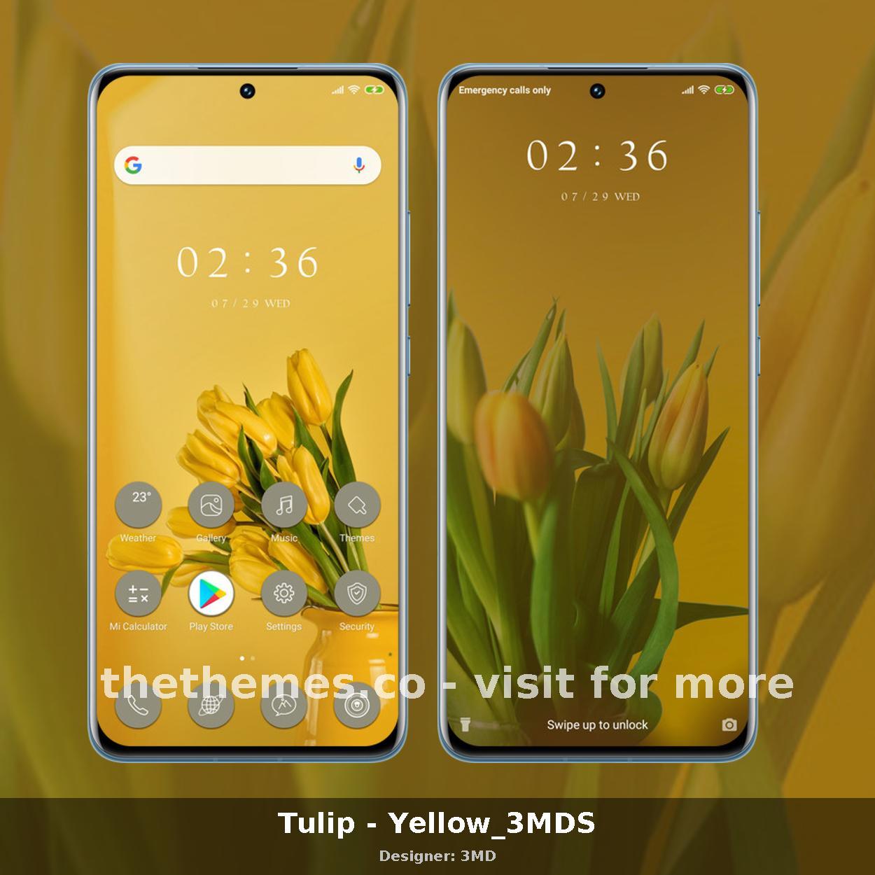 Tulip - Yellow_3MDS