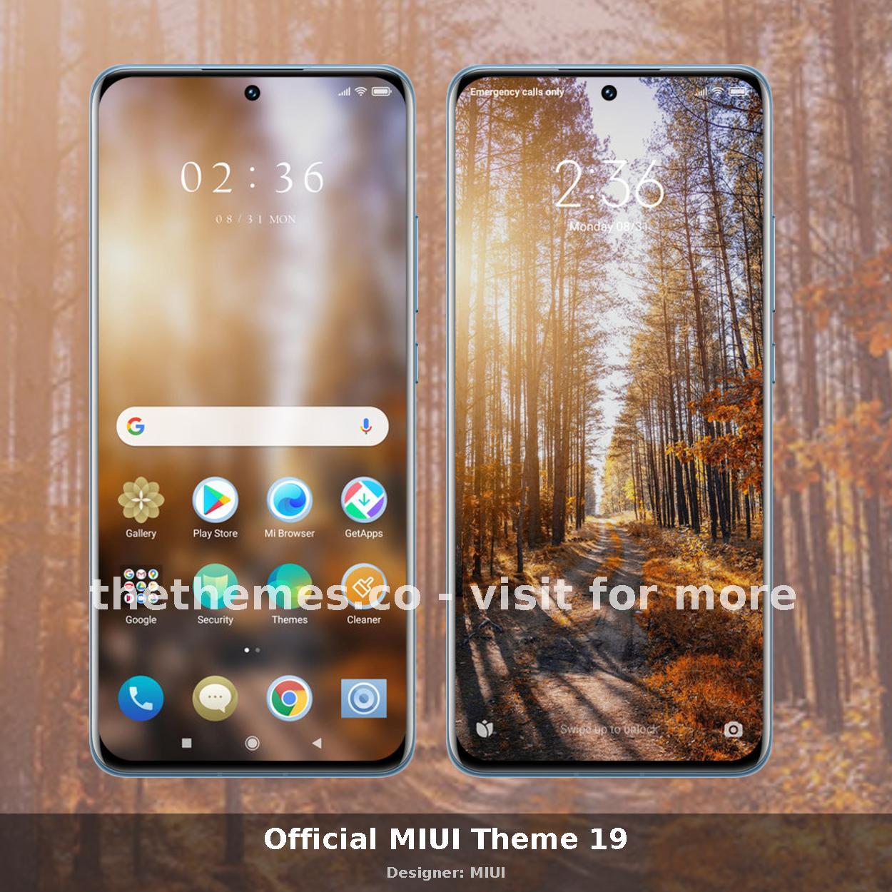 Official MIUI Theme 19