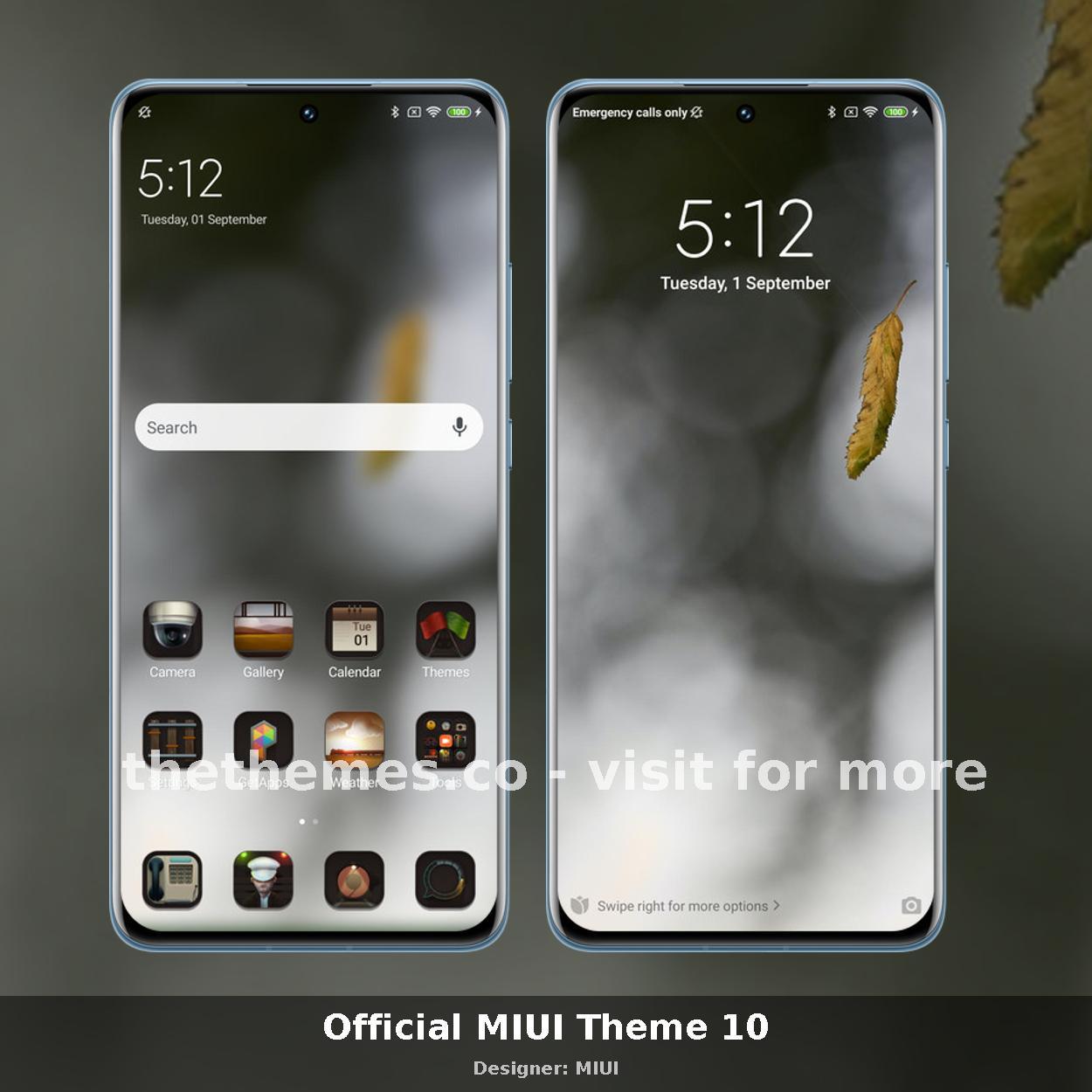 Official MIUI Theme 10