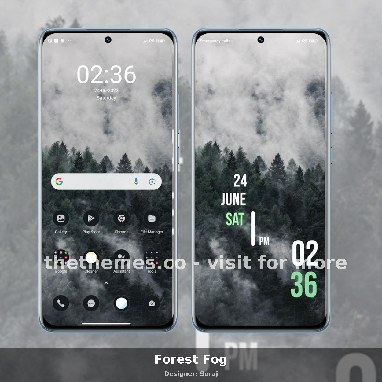 Forest Fog