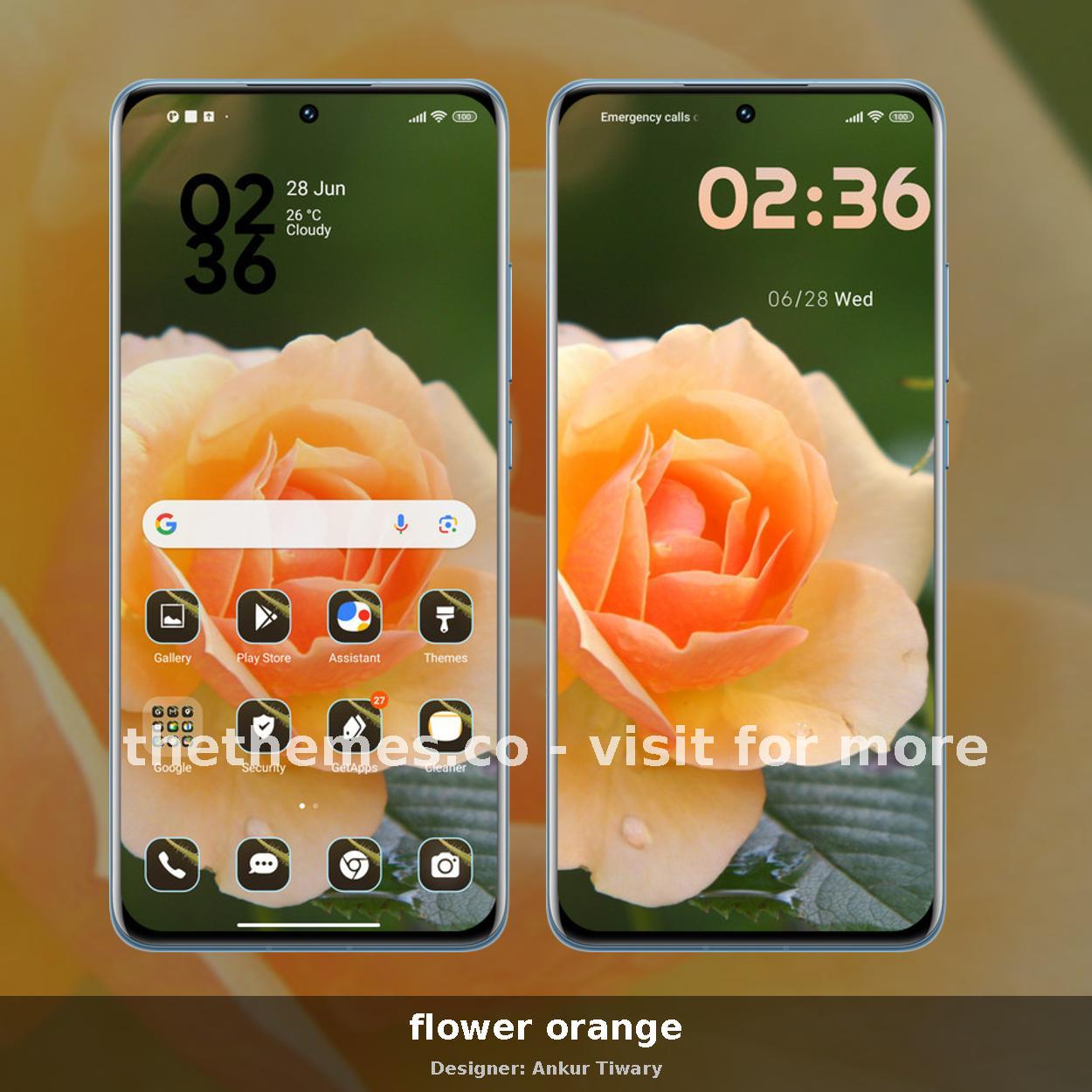 flower orange
