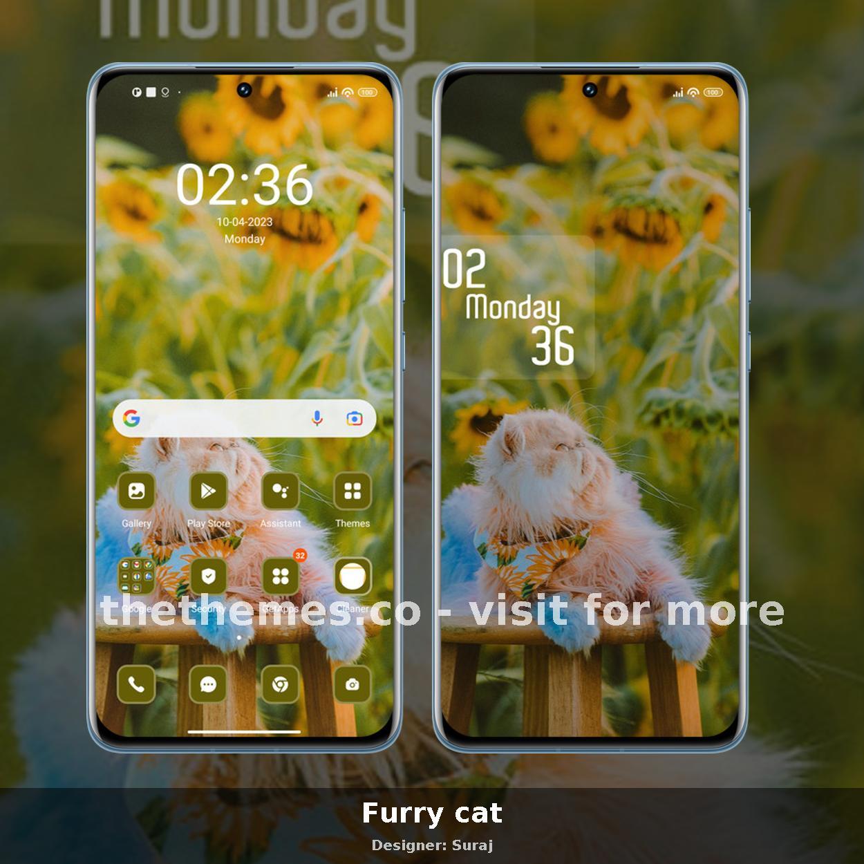 Furry cat