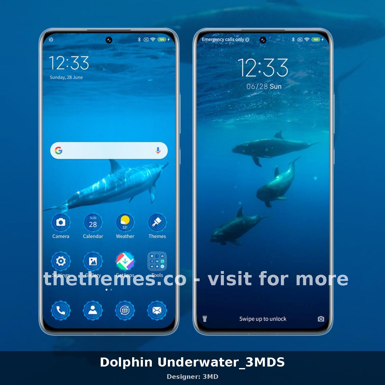 Dolphin Underwater_3MDS