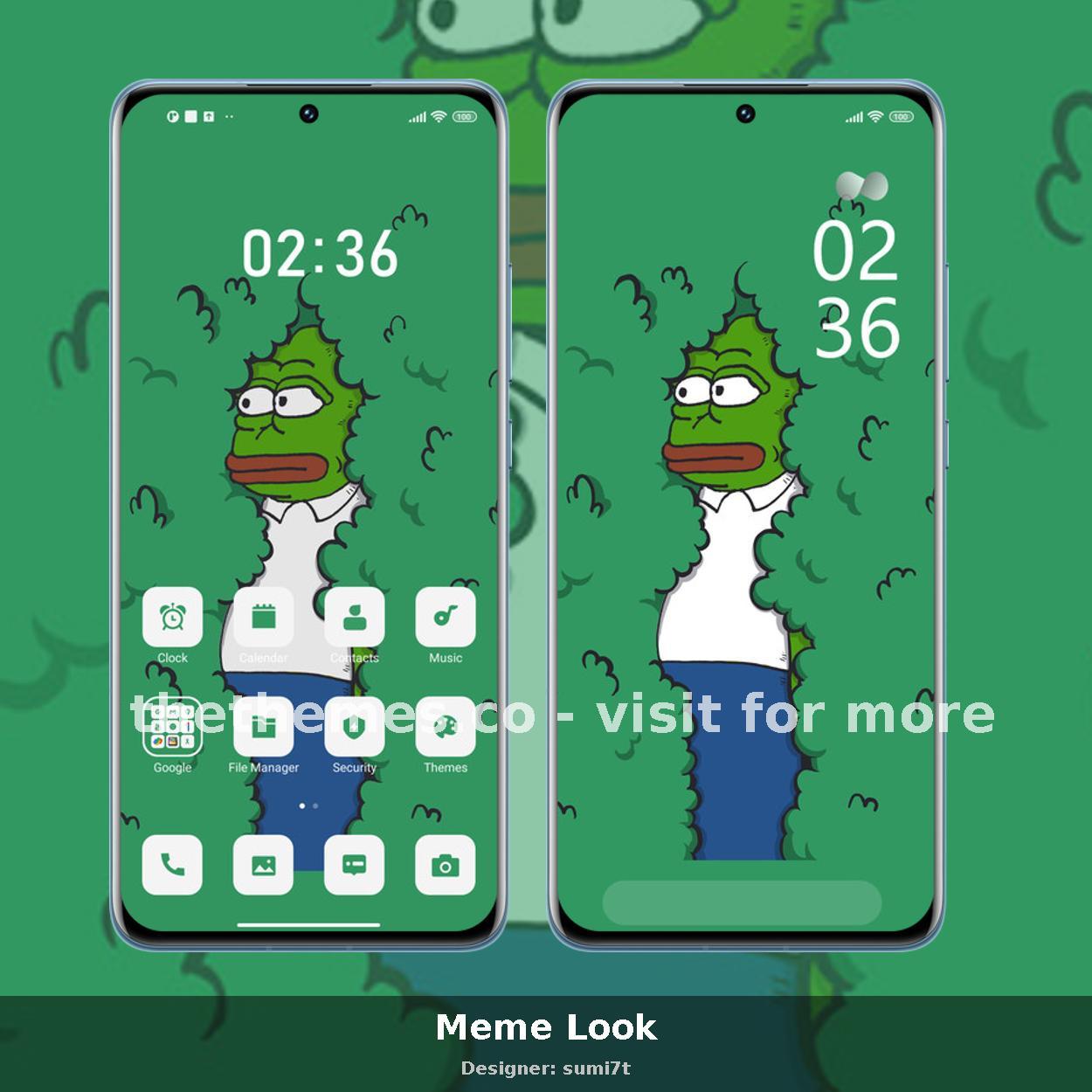 Meme Look