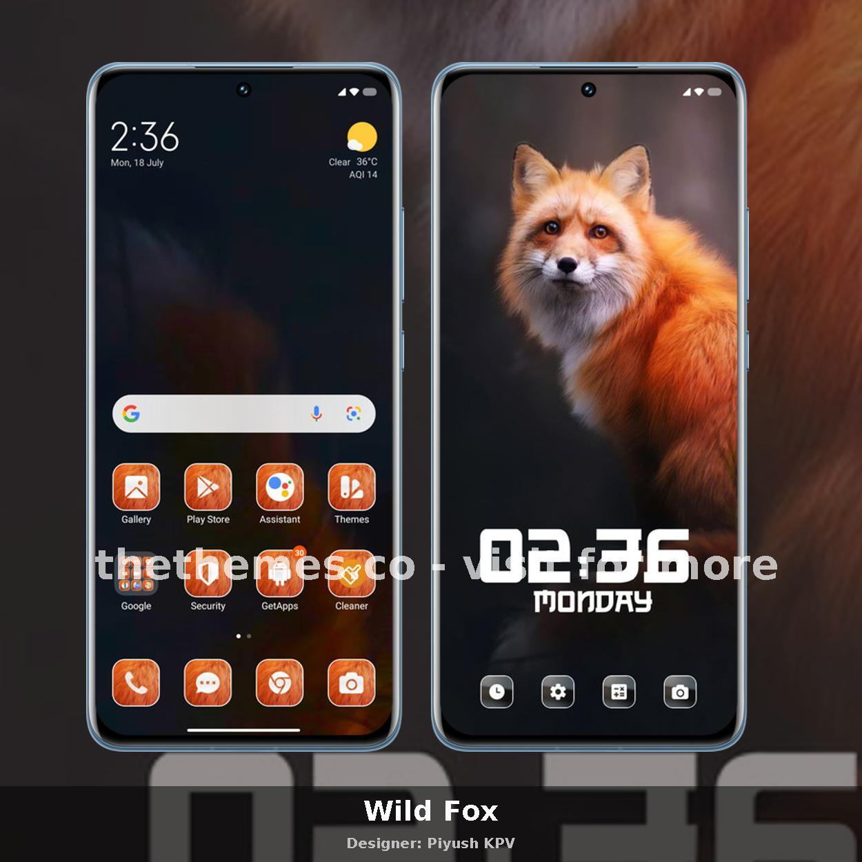 Wild Fox