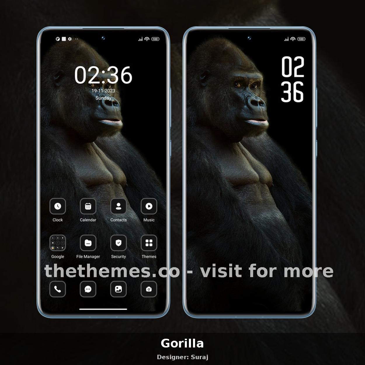 Gorilla