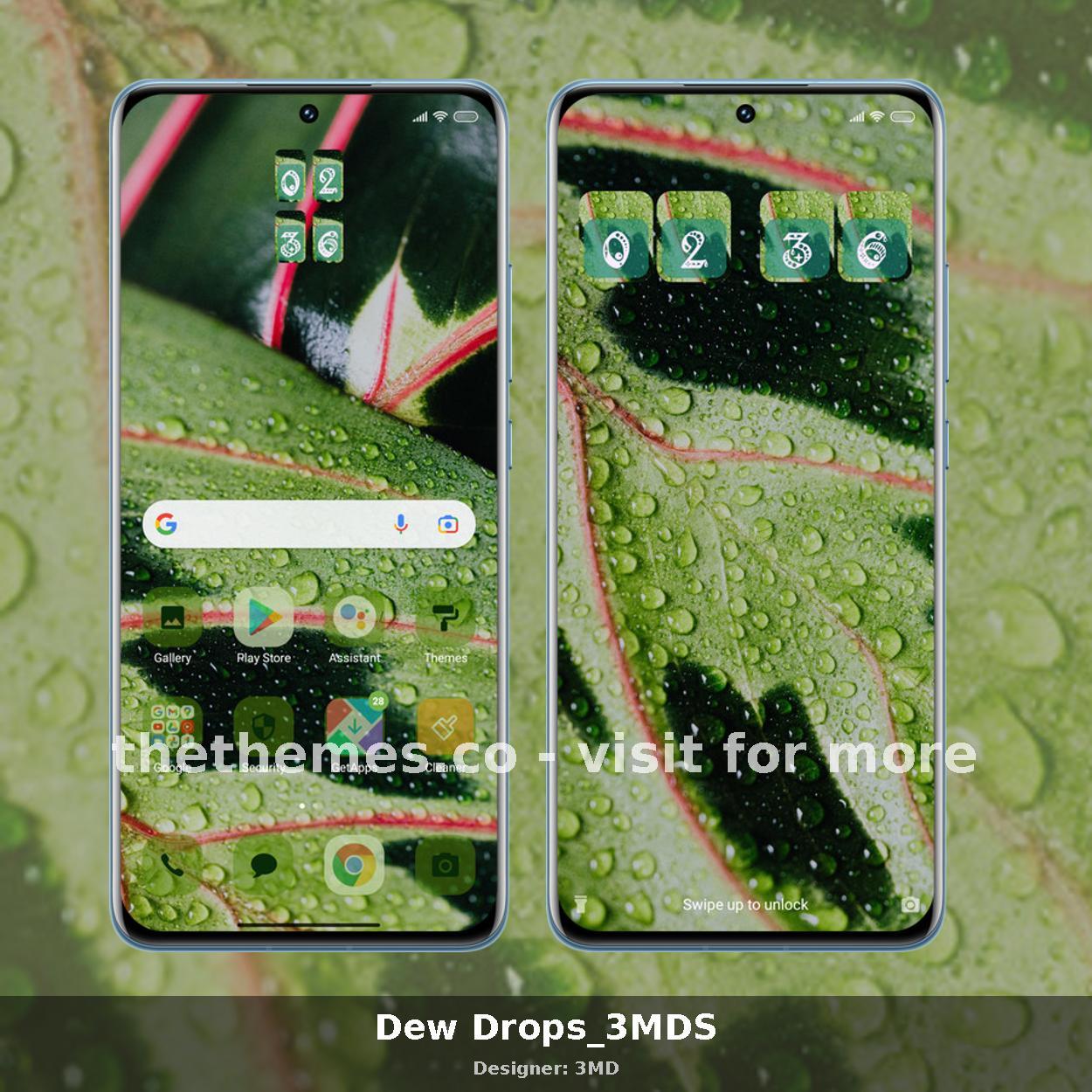 Dew Drops_3MDS