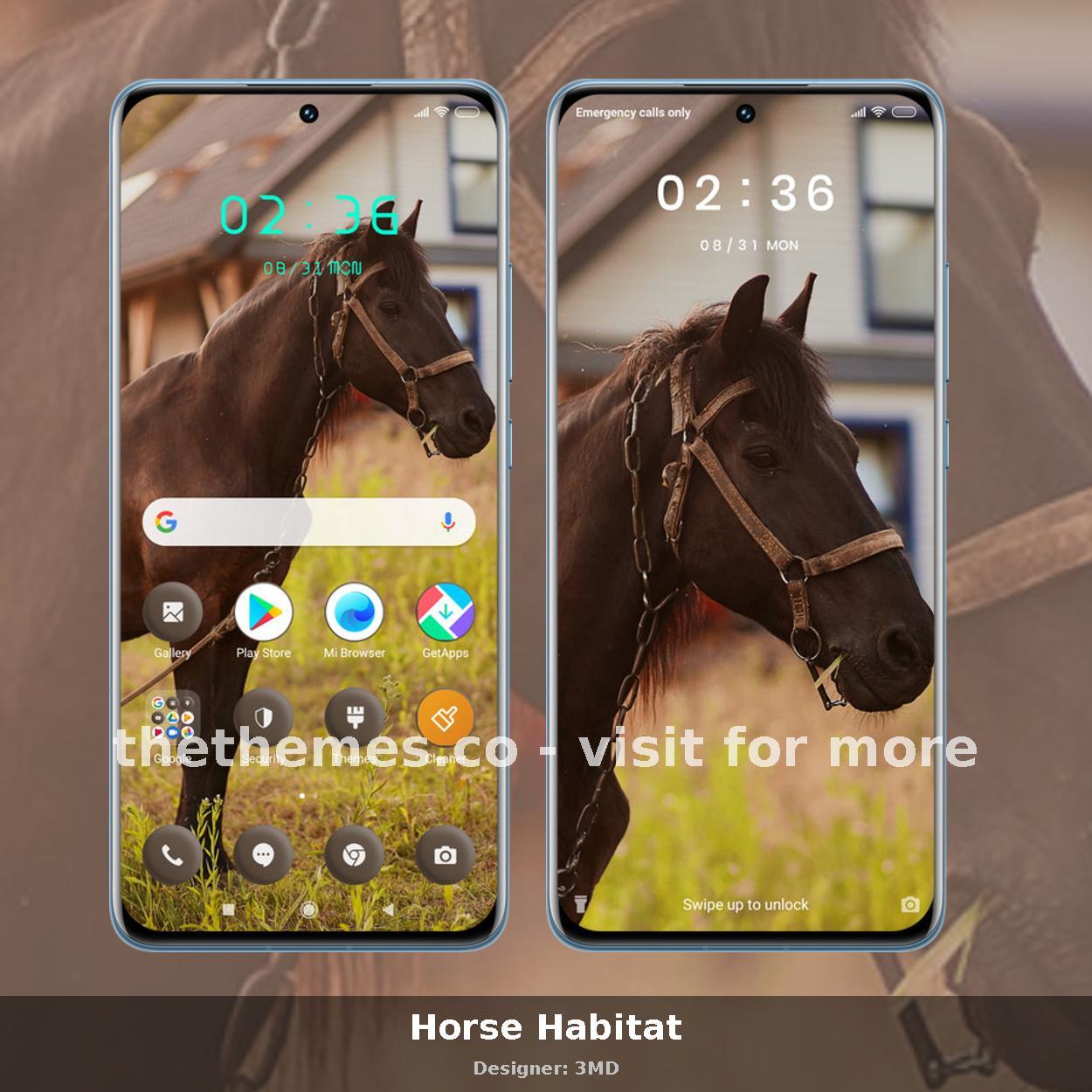 Horse Habitat
