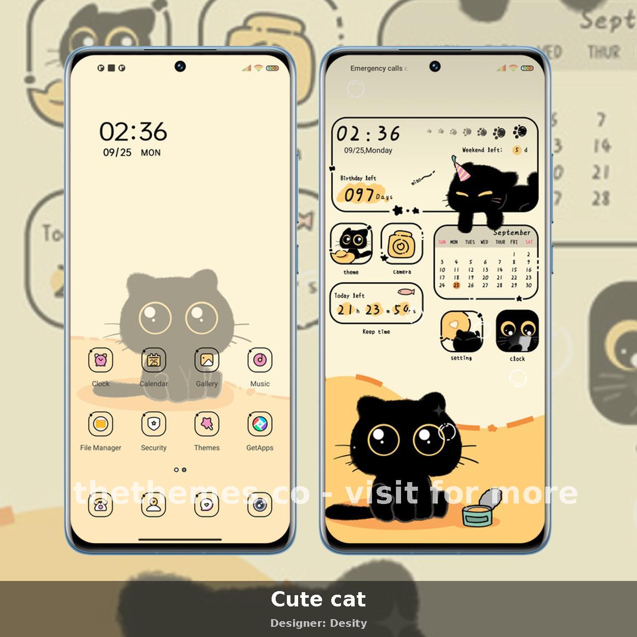 Cute cat