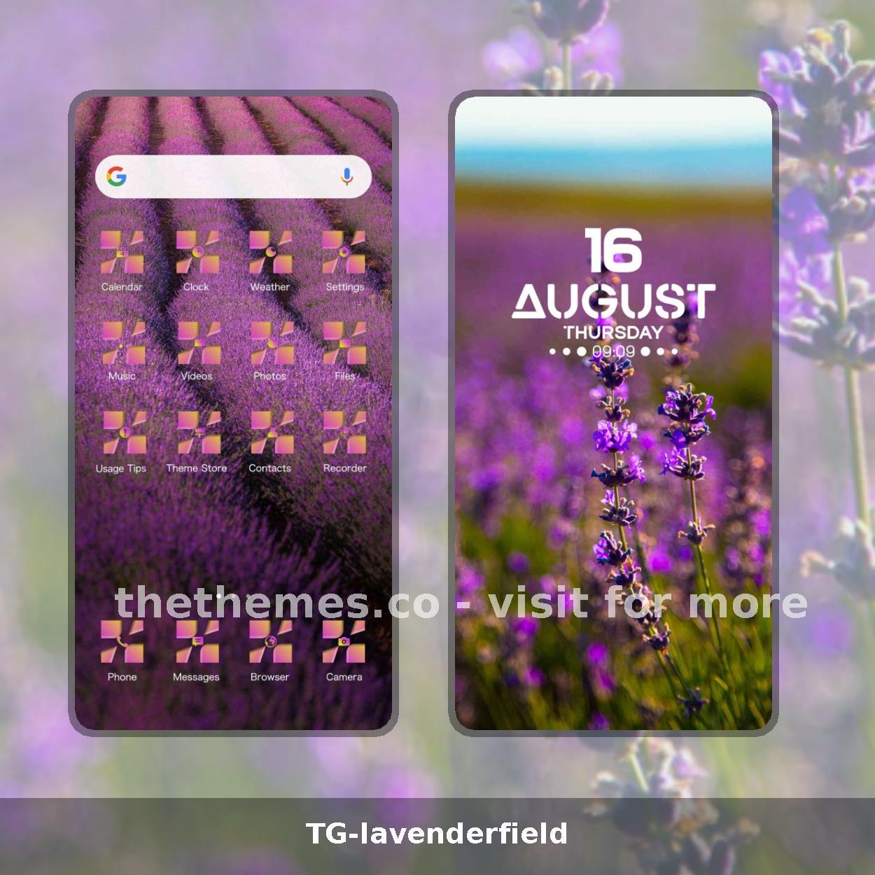 TG-lavenderfield