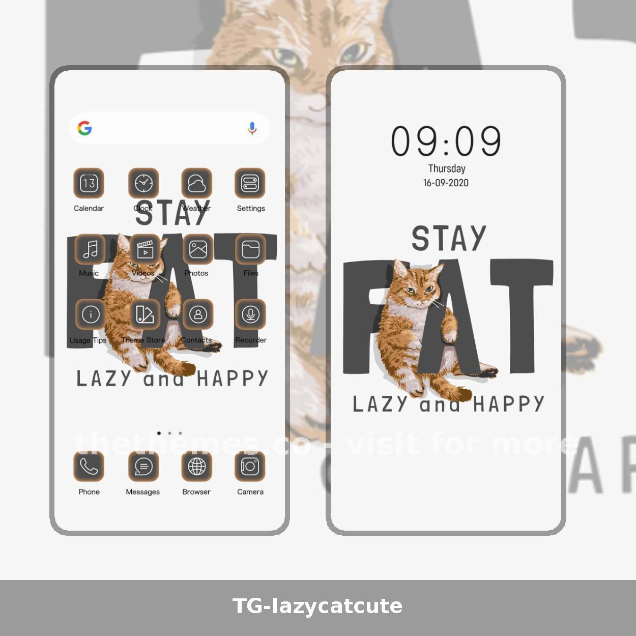 TG-lazycatcute